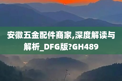 安徽五金配件商家,深度解读与解析_DFG版?GH489