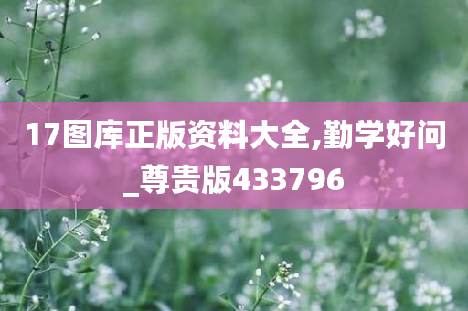 17图库正版资料大全,勤学好问_尊贵版433796