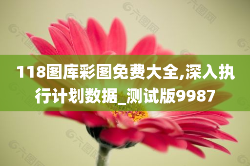 118图库彩图免费大全,深入执行计划数据_测试版9987