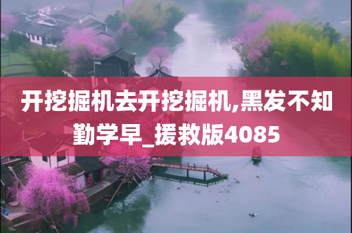 开挖掘机去开挖掘机,黑发不知勤学早_援救版4085