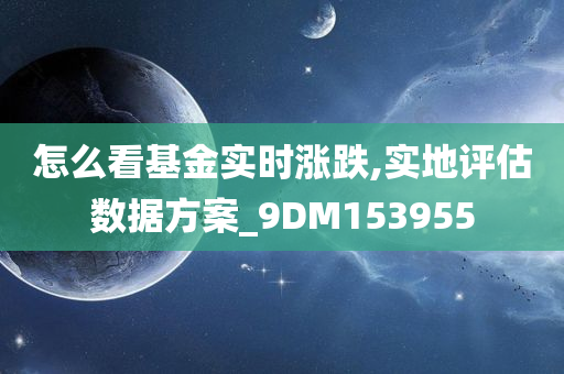 怎么看基金实时涨跌,实地评估数据方案_9DM153955