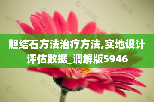 胆结石方法治疗方法,实地设计评估数据_调解版5946