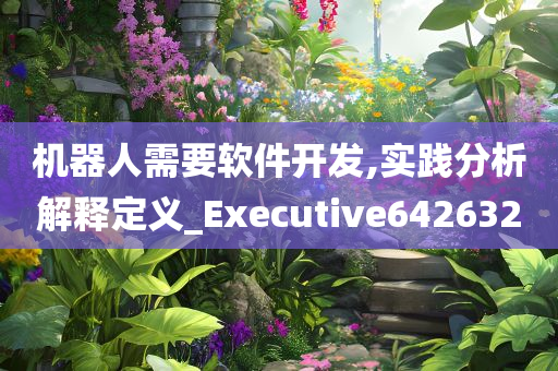 机器人需要软件开发,实践分析解释定义_Executive642632