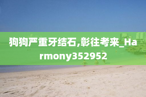 狗狗严重牙结石,彰往考来_Harmony352952