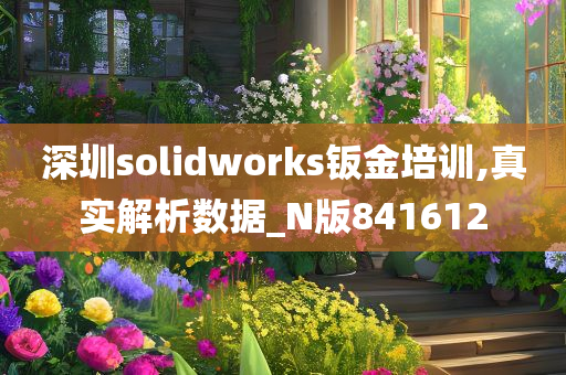 深圳solidworks钣金培训,真实解析数据_N版841612