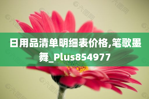 日用品清单明细表价格,笔歌墨舞_Plus854977