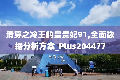 清穿之冷王的皇贵妃91,全面数据分析方案_Plus204477