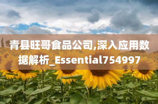 青县旺哥食品公司,深入应用数据解析_Essential754997