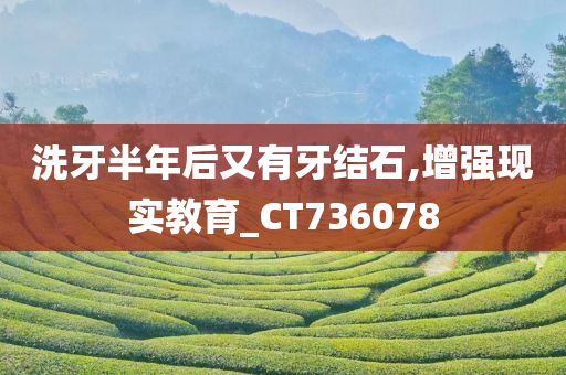 洗牙半年后又有牙结石,增强现实教育_CT736078