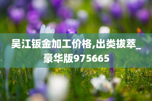 吴江钣金加工价格,出类拔萃_豪华版975665