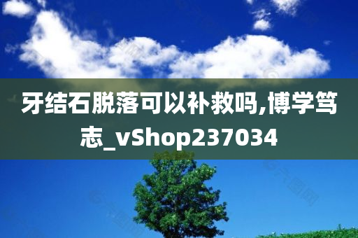 牙结石脱落可以补救吗,博学笃志_vShop237034