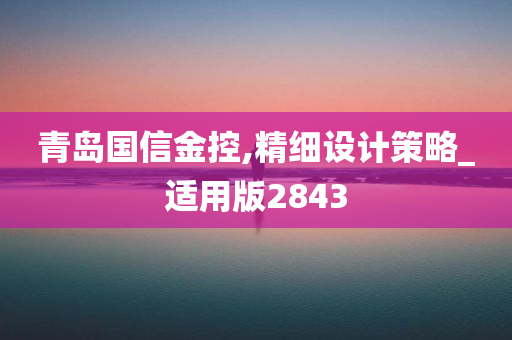 青岛国信金控,精细设计策略_适用版2843