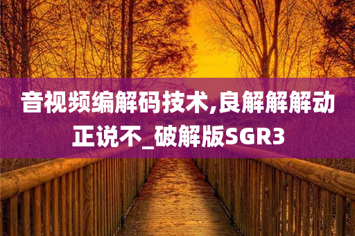 音视频编解码技术,良解解解动正说不_破解版SGR3