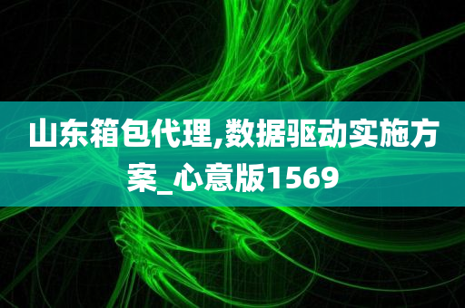 山东箱包代理,数据驱动实施方案_心意版1569