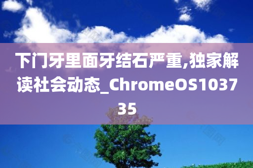 下门牙里面牙结石严重,独家解读社会动态_ChromeOS103735