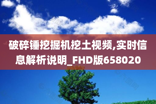 破碎锤挖掘机挖土视频,实时信息解析说明_FHD版658020