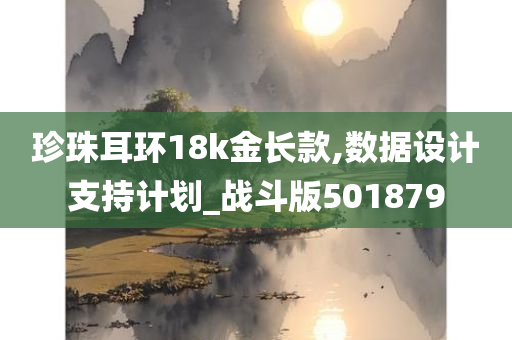 珍珠耳环18k金长款,数据设计支持计划_战斗版501879