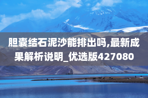 胆囊结石泥沙能排出吗,最新成果解析说明_优选版427080