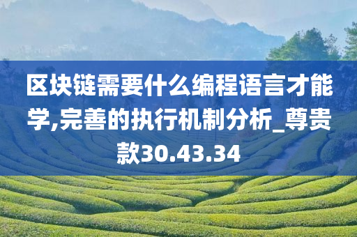 区块链需要什么编程语言才能学,完善的执行机制分析_尊贵款30.43.34