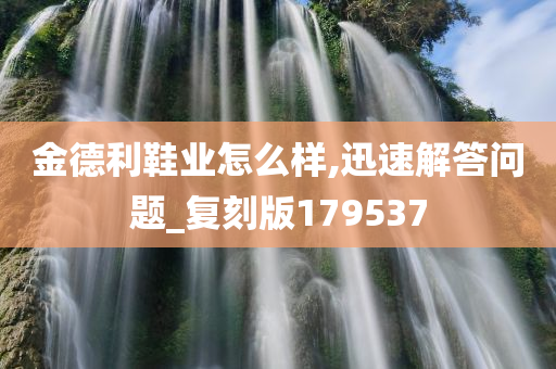 金德利鞋业怎么样,迅速解答问题_复刻版179537