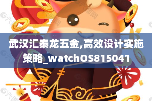 武汉汇泰龙五金,高效设计实施策略_watchOS815041