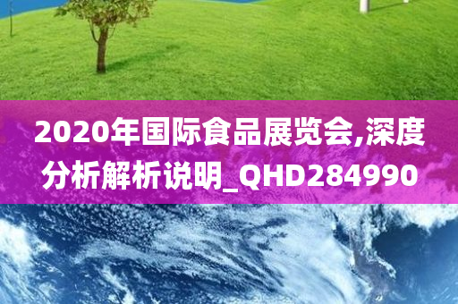 2020年国际食品展览会,深度分析解析说明_QHD284990