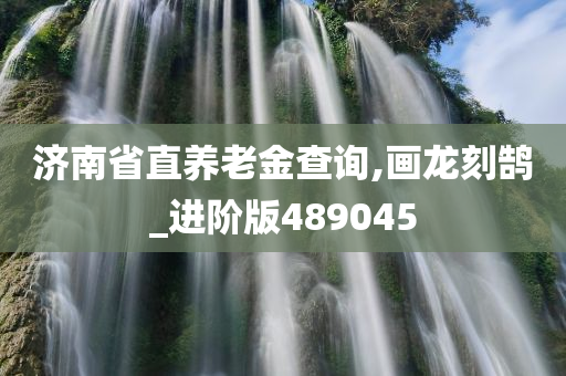 济南省直养老金查询,画龙刻鹄_进阶版489045