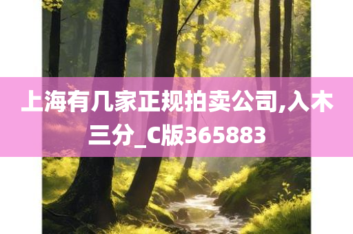 上海有几家正规拍卖公司,入木三分_C版365883