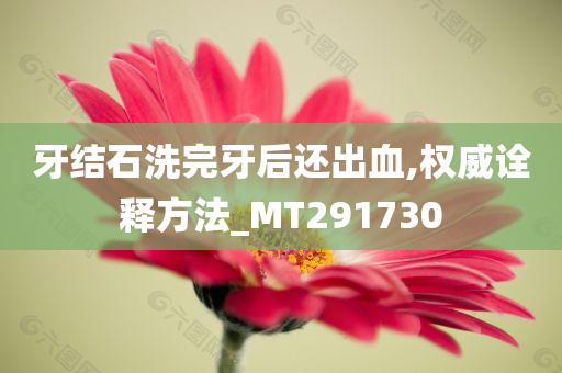 牙结石洗完牙后还出血,权威诠释方法_MT291730