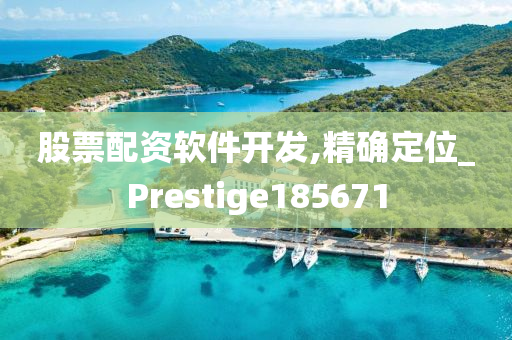 股票配资软件开发,精确定位_Prestige185671