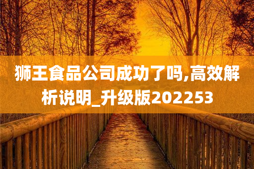 狮王食品公司成功了吗,高效解析说明_升级版202253