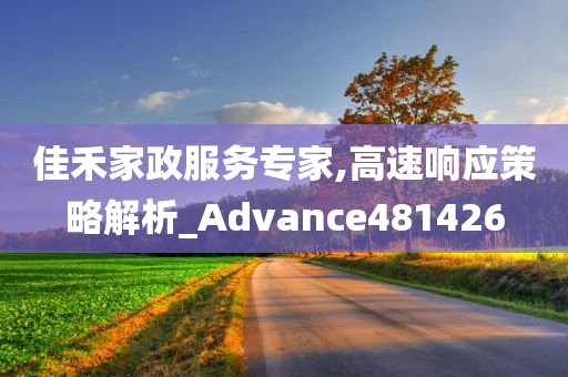 佳禾家政服务专家,高速响应策略解析_Advance481426