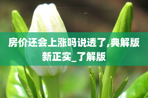 房价还会上涨吗说透了,典解版新正实_了解版