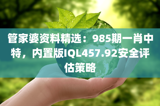 管家婆资料精选：985期一肖中特，内置版IQL457.92安全评估策略