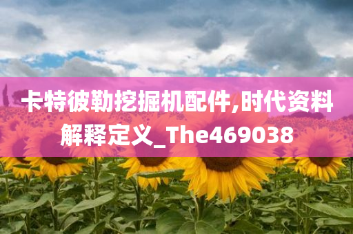 卡特彼勒挖掘机配件,时代资料解释定义_The469038