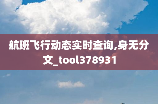 航班飞行动态实时查询,身无分文_tool378931