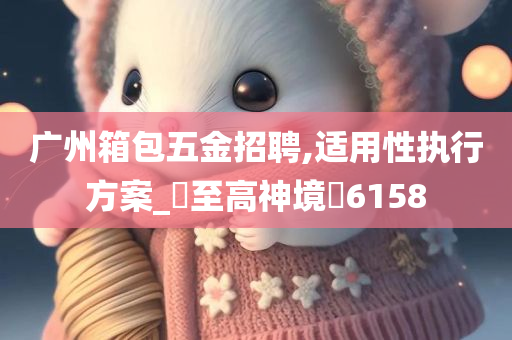 广州箱包五金招聘,适用性执行方案_‌至高神境‌6158