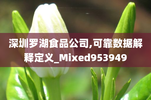 深圳罗湖食品公司,可靠数据解释定义_Mixed953949