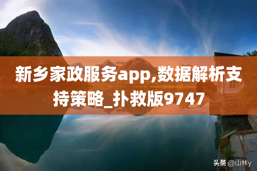 新乡家政服务app,数据解析支持策略_扑救版9747