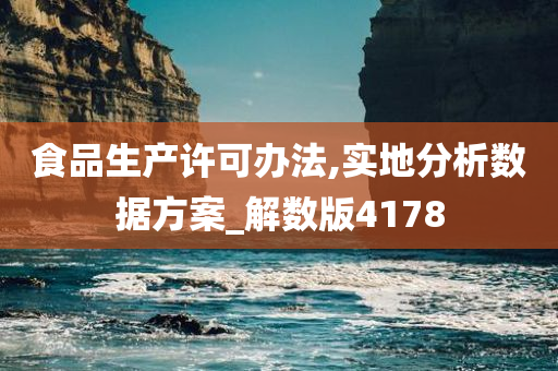 食品生产许可办法,实地分析数据方案_解数版4178