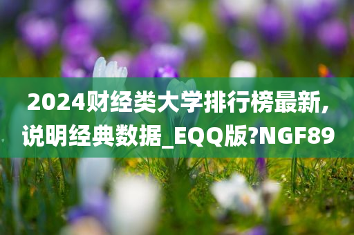 2024财经类大学排行榜最新,说明经典数据_EQQ版?NGF89