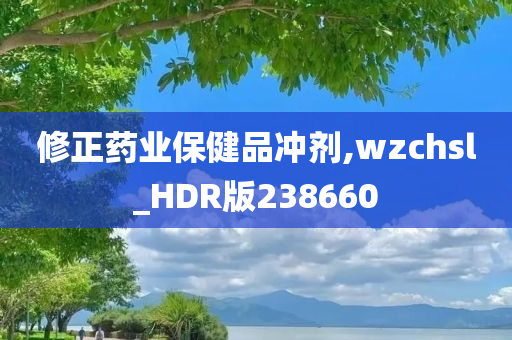 修正药业保健品冲剂,wzchsl_HDR版238660