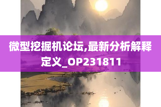 微型挖掘机论坛,最新分析解释定义_OP231811