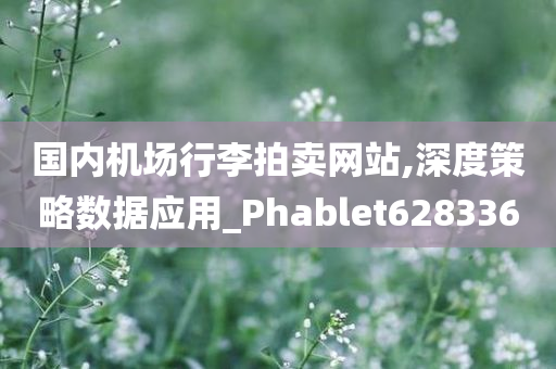 国内机场行李拍卖网站,深度策略数据应用_Phablet628336