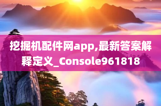 挖掘机配件网app,最新答案解释定义_Console961818