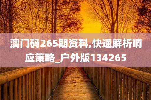 澳门码265期资料,快速解析响应策略_户外版134265