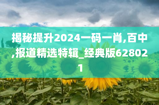 揭秘提升2024一码一肖,百中,报道精选特辑_经典版628021