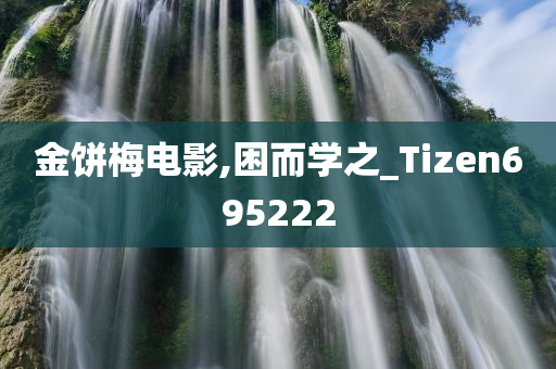 金饼梅电影,困而学之_Tizen695222