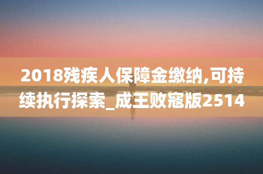 2018残疾人保障金缴纳,可持续执行探索_成王败寇版2514