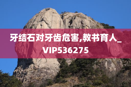 牙结石对牙齿危害,教书育人_VIP536275